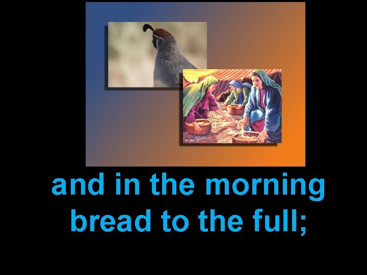 and in the morning bread to the full; 