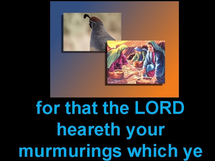 for that the LORD heareth your murmurings which ye 