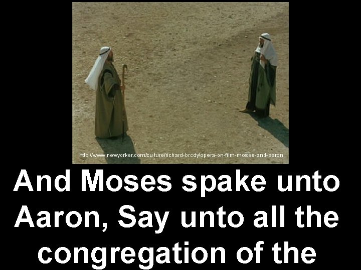 And Moses spake unto Aaron, Say unto all the congregation of the 