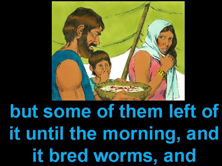 but some of them left of it until the morning, and it bred worms,