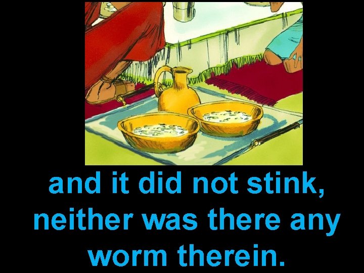 and it did not stink, neither was there any worm therein. 