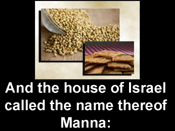 And the house of Israel called the name thereof Manna: 