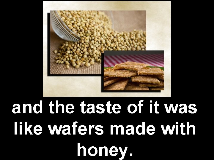 and the taste of it was like wafers made with honey. 