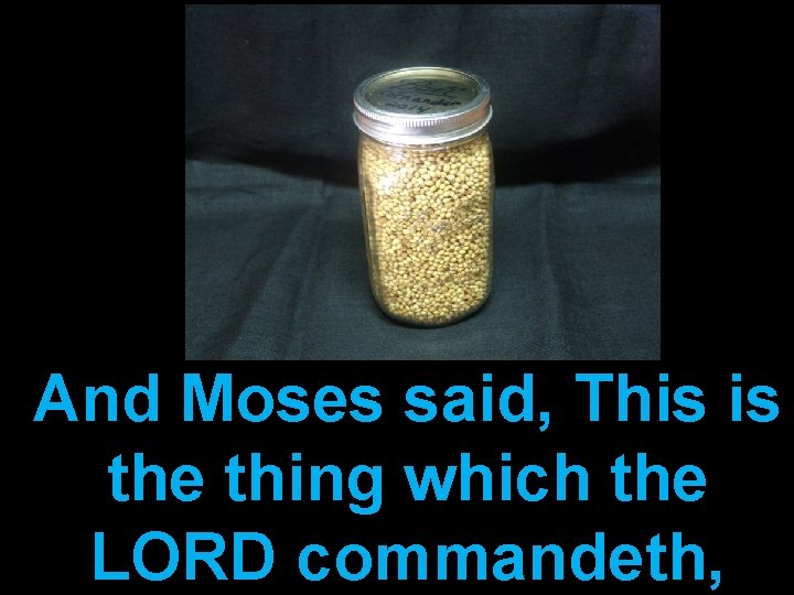 And Moses said, This is the thing which the LORD commandeth, 