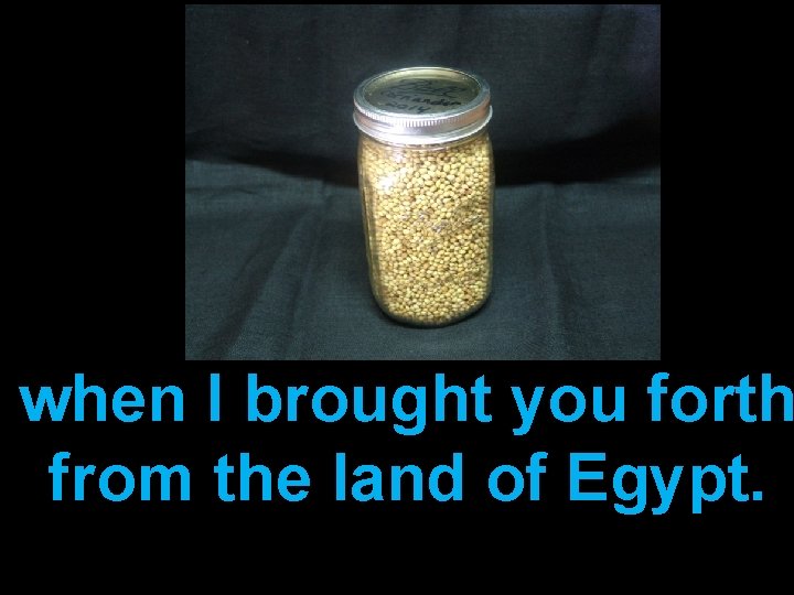when I brought you forth from the land of Egypt. 