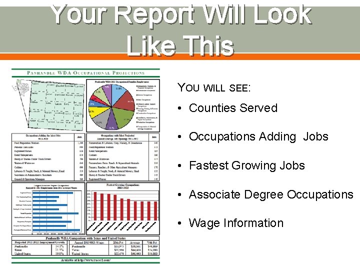 Your Report Will Look Like This YOU WILL SEE: • Counties Served • Occupations