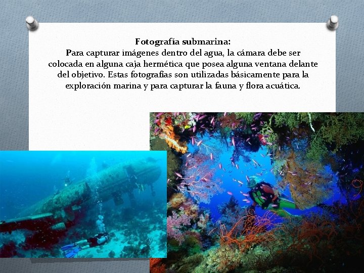 Fotografía submarina: Para capturar imágenes dentro del agua, la cámara debe ser colocada en
