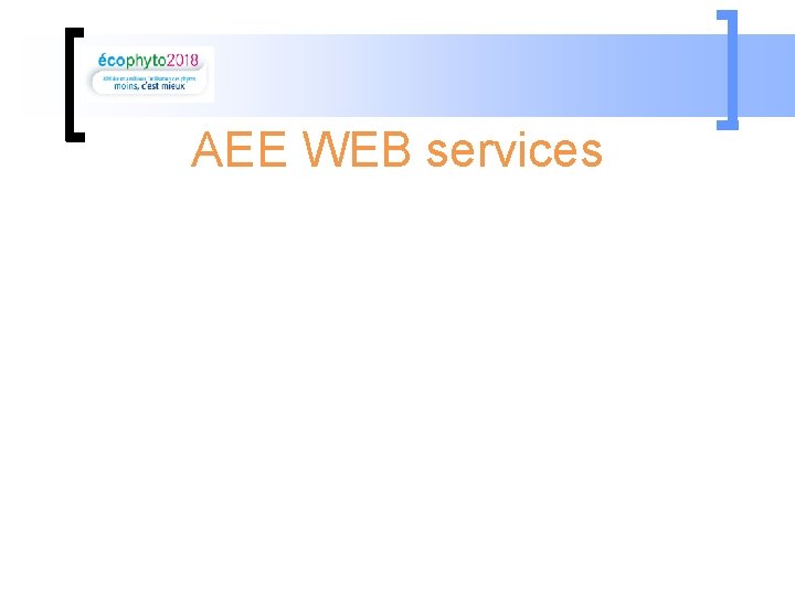 AEE WEB services 