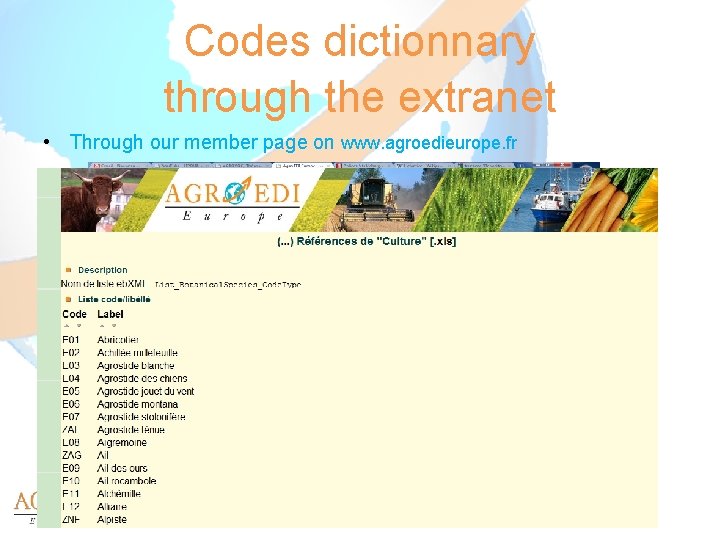 Codes dictionnary through the extranet • Through our member page on www. agroedieurope. fr