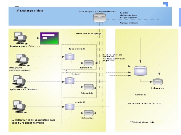 EPIPHYT SI en épidémiosurveillance 