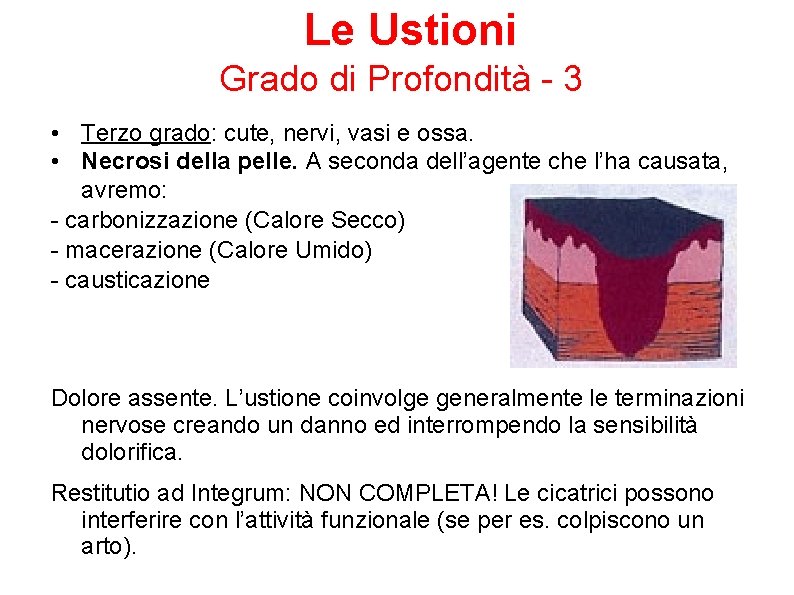 Le Ustioni Grado di Profondità - 3 • Terzo grado: cute, nervi, vasi e