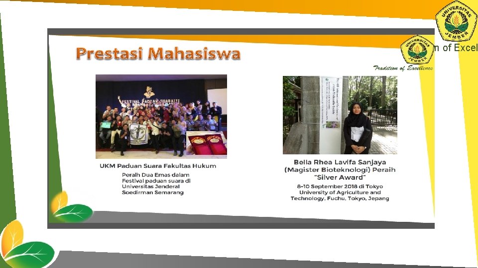Tradition of Excel 