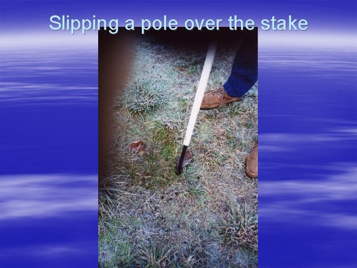 Slipping a pole over the stake 