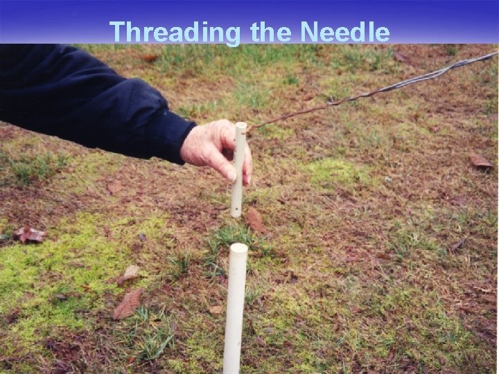 Threading the Needle 