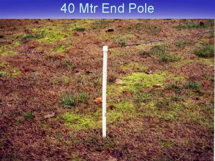 40 Mtr End Pole 