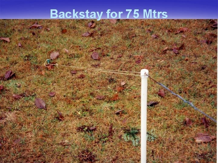 Backstay for 75 Mtrs 