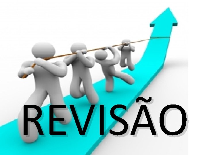 REVISÃO 