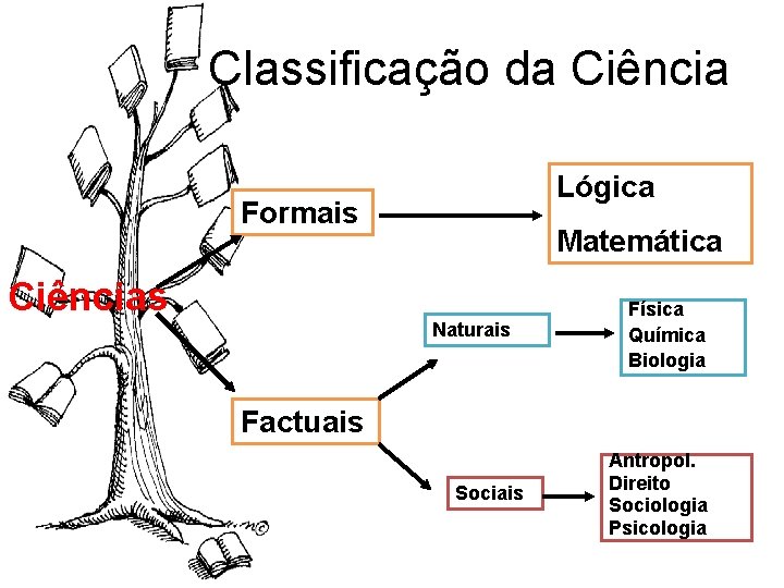 Classificação da Ciência Lógica Formais Matemática Ciências Naturais Física Química Biologia Factuais Sociais Antropol.
