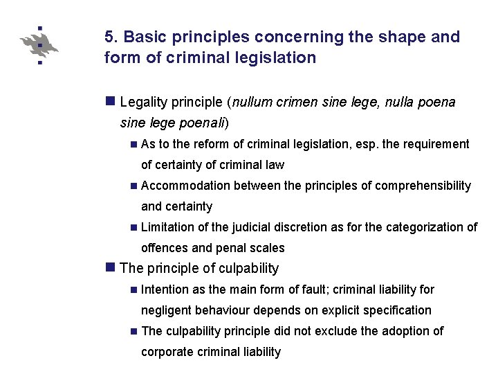 5. Basic principles concerning the shape and form of criminal legislation n Legality principle