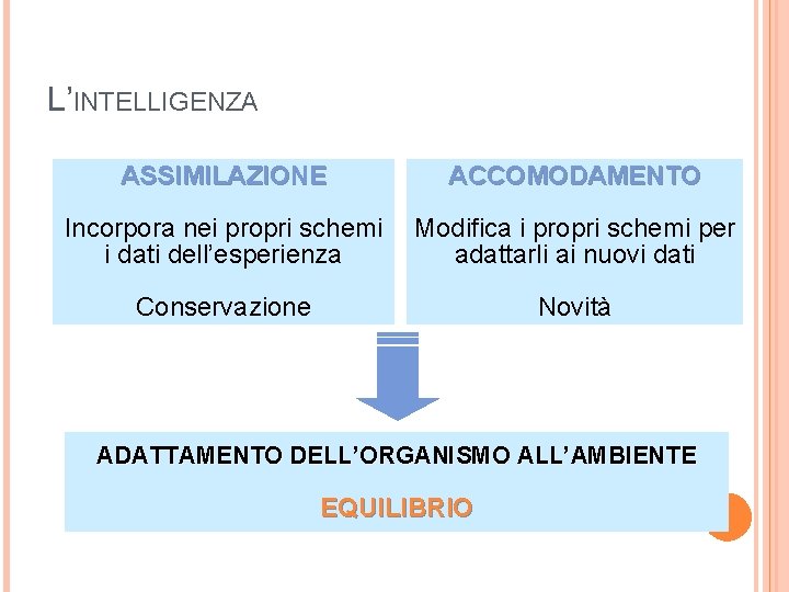 L’INTELLIGENZA ASSIMILAZIONE ACCOMODAMENTO Incorpora nei propri schemi i dati dell’esperienza Modifica i propri schemi