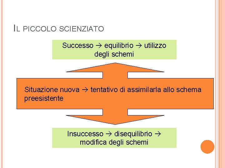 IL PICCOLO SCIENZIATO Successo equilibrio utilizzo degli schemi Situazione nuova tentativo di assimilarla allo