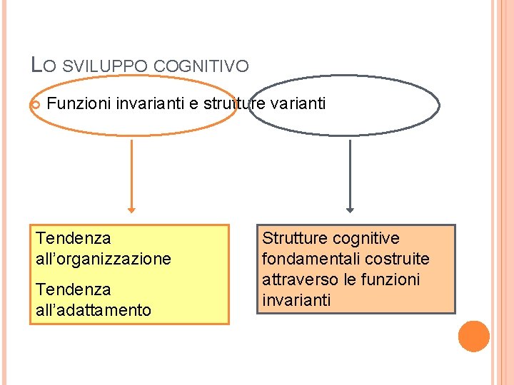LO SVILUPPO COGNITIVO Funzioni invarianti e strutture varianti Tendenza all’organizzazione Tendenza all’adattamento Strutture cognitive