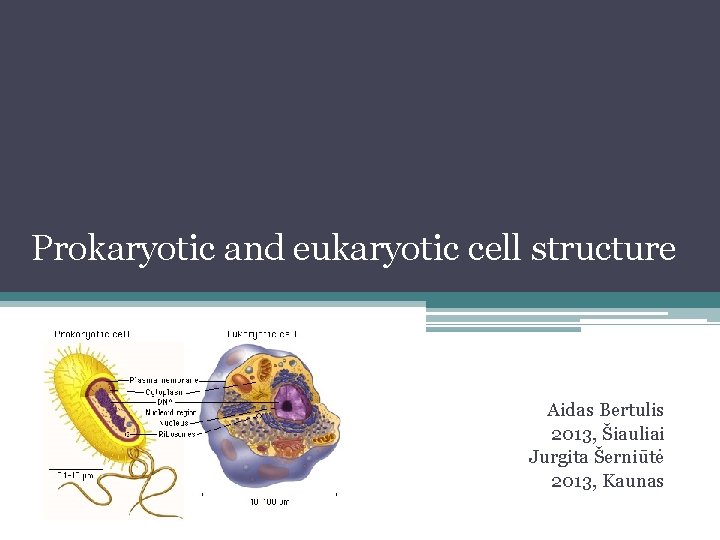 Prokaryotic and eukaryotic cell structure Aidas Bertulis 2013, Šiauliai Jurgita Šerniūtė 2013, Kaunas 