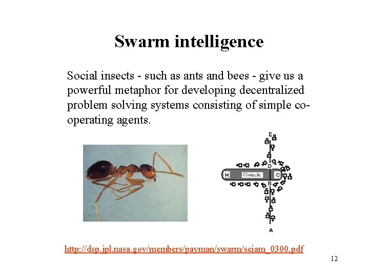 Swarm intelligence Social insects - such as ants and bees - give us a Swarm intelligence Social insects - such as ants and bees - give us a
