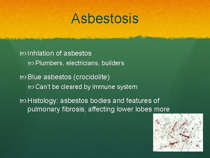 Asbestosis Inhlation of asbestos Plumbers, electricians, builders Blue asbestos (crocidolite) Can’t be cleared by
