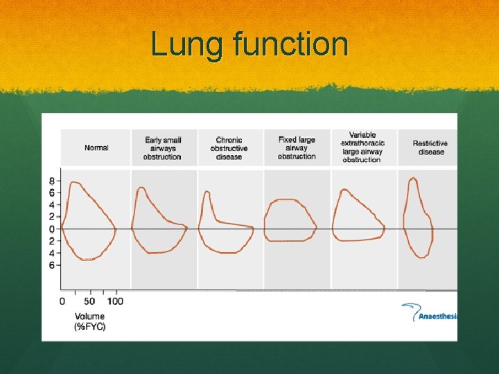 Lung function 