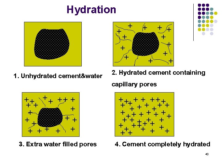 Hydration + + + + 1. Unhydrated cement&water 2. Hydrated cement containing capillary pores