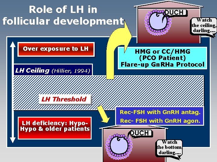 Role of LH in follicular development Over exposure to LH LH Ceiling (Hillier, 1994)