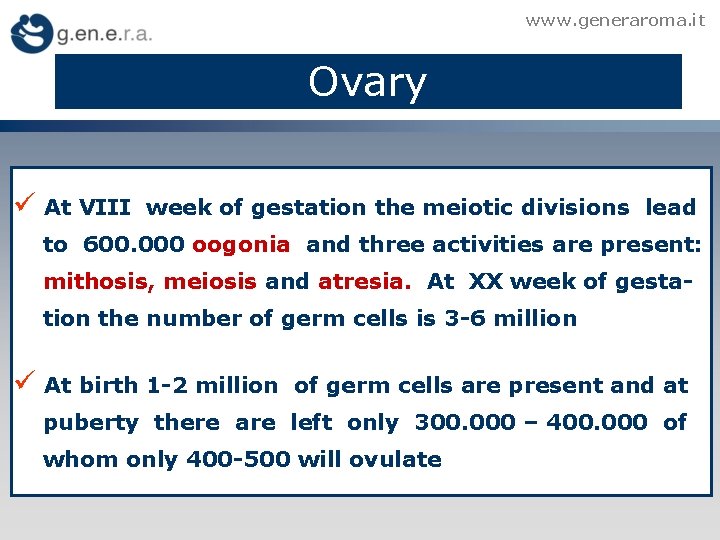 www. generaroma. it Ovary ü At VIII week of gestation the meiotic divisions lead
