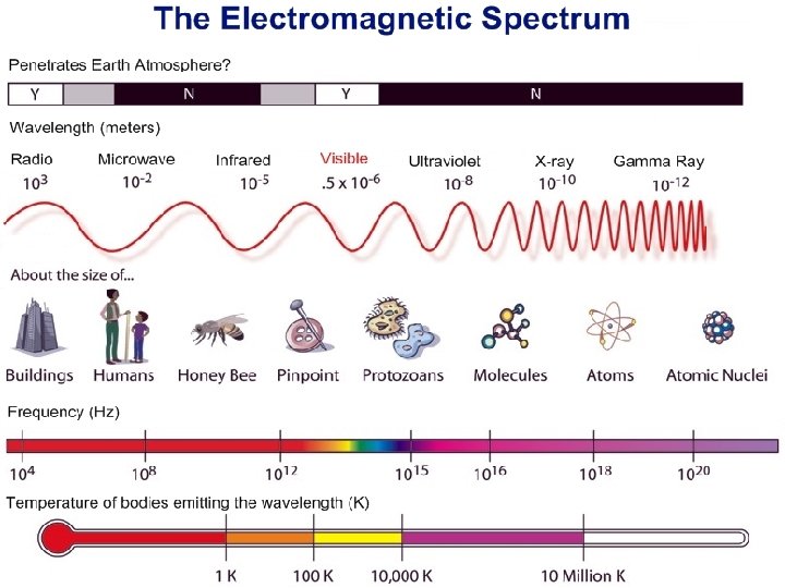 The Electromagnetic Spectrum 16 