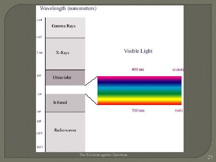 The Electromagnetic Spectrum 21 