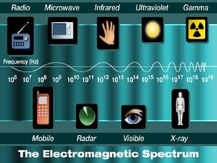 The Electromagnetic Spectrum 4 