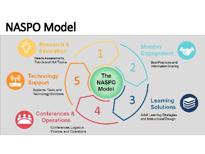 NASPO Model 