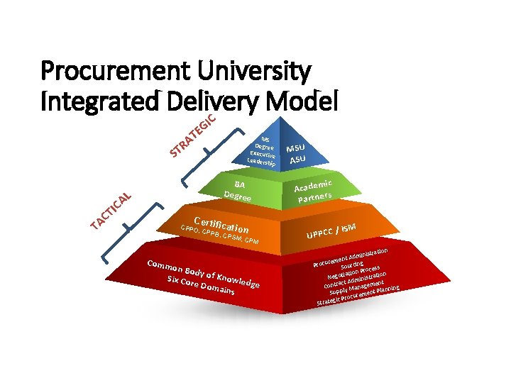 Procurement University Integrated Delivery Model C I EG T RA MS Degree Executiv e