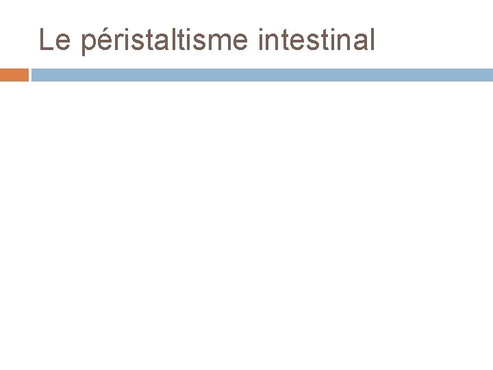 Le péristaltisme intestinal 