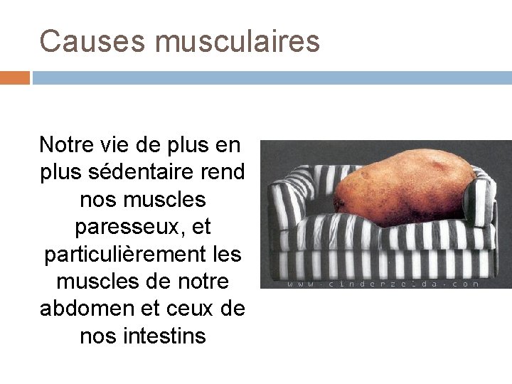 Causes musculaires Notre vie de plus en plus sédentaire rend nos muscles paresseux, et