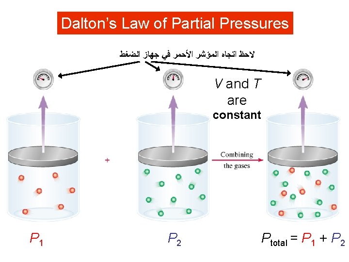 Dalton’s Law of Partial Pressures ﺍﻟﻀﻐﻂ ﺟﻬﺎﺯ ﻓﻲ ﺍﻷﺤﻤﺮ ﺍﻟﻤﺆﺸﺮ ﺍﺗﺠﺎﻩ ﻻﺣﻆ V and