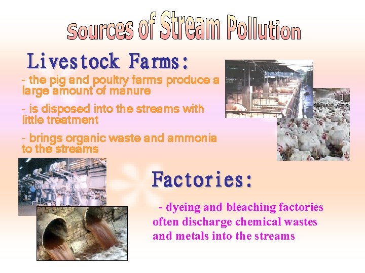 Livestock Farms: - the pig and poultry farms produce a large amount of manure Livestock Farms: - the pig and poultry farms produce a large amount of manure