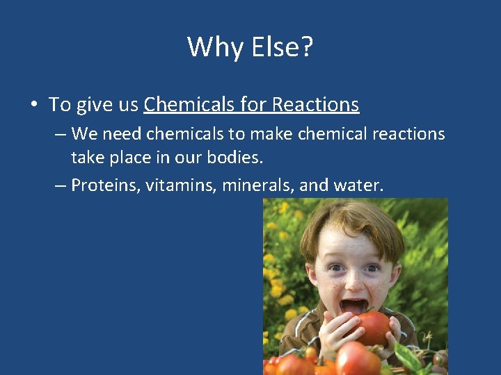 Why Else? • To give us Chemicals for Reactions – We need chemicals to
