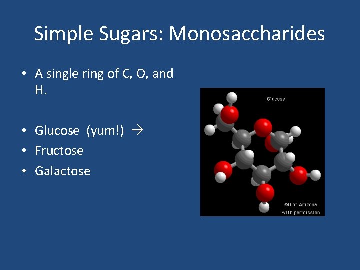 Simple Sugars: Monosaccharides • A single ring of C, O, and H. • Glucose