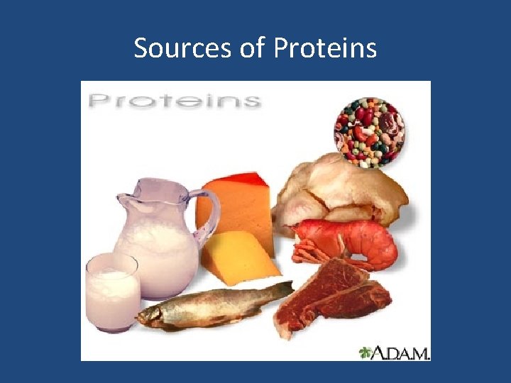 Sources of Proteins 