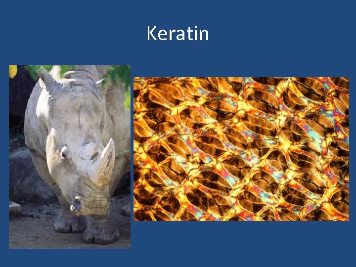 Keratin 