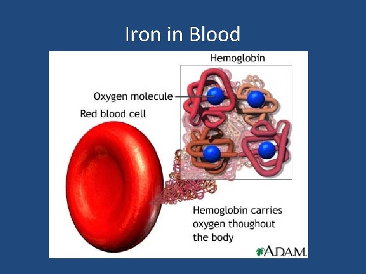 Iron in Blood 