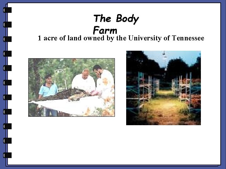 The Body Farm 1 acre of land owned by the University of Tennessee The Body Farm 1 acre of land owned by the University of Tennessee