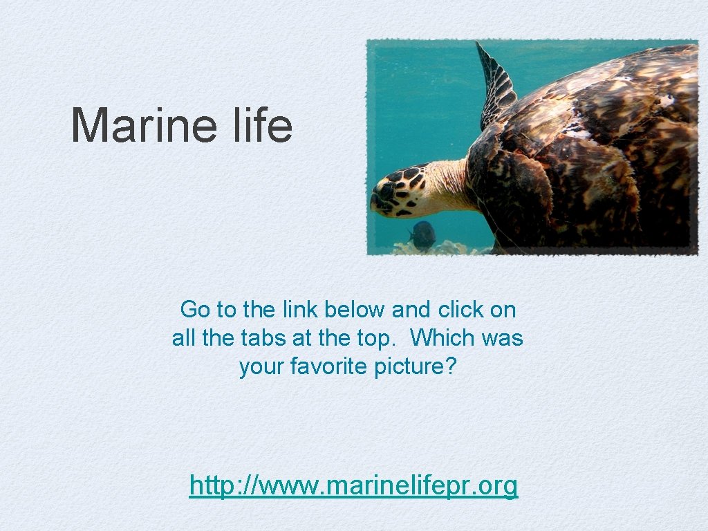 Marine life Go to the link below and click on all the tabs at