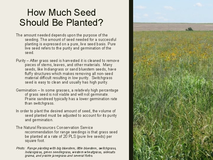 How Much Seed Should Be Planted? The amount needed depends upon the purpose of